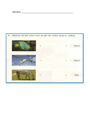 Seres vivos e inertes