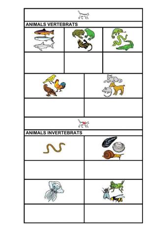 Animals vertebrats i invertebrats