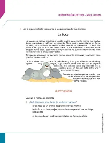 NIÑOS COMPRENSIÓN LITERAL