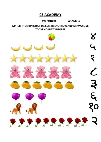Match the objects with the correct number