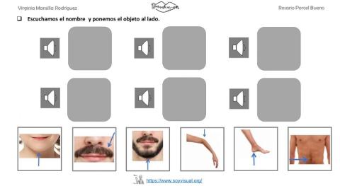 Vocabulario cuerpo 5 con audio