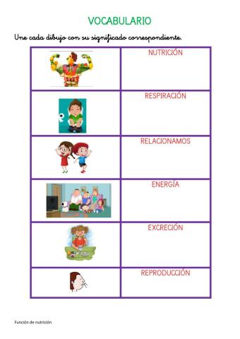 Proceso función de nutrición