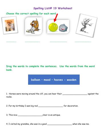 Spelling List 19