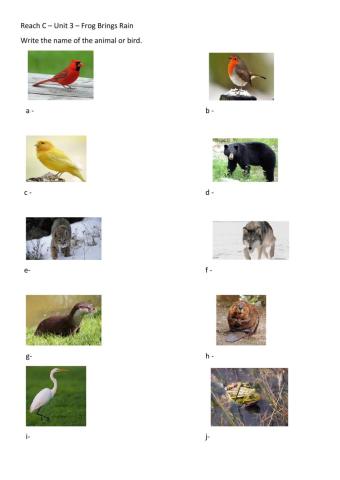 Frog brings rain - reach c - unit 3