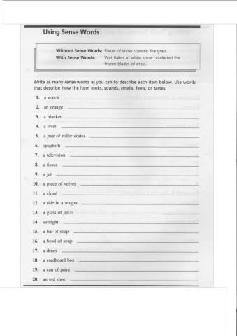 Describing Words - Adjectives