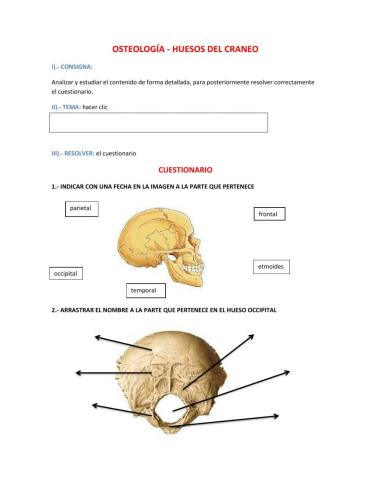 Osteología - Huesos del cráneo