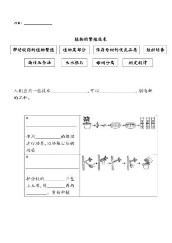 植物的繁殖技术