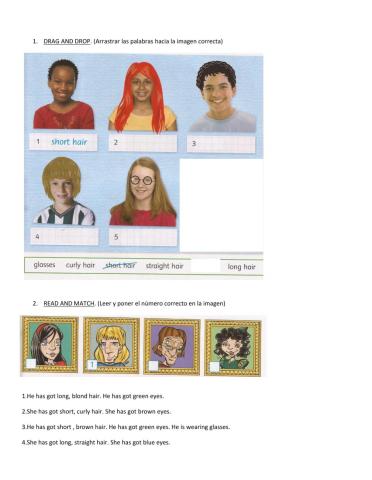 Physical description