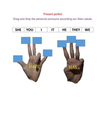 Present perfect HAVE-HAS
