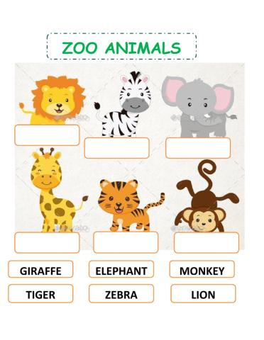 Zoo animals