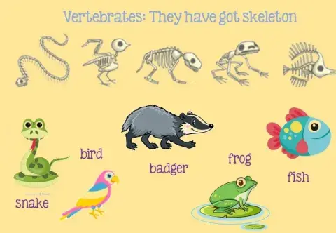Vertebrates