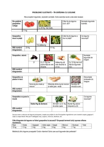 Probleme ilustrate-Grădina cu legume
