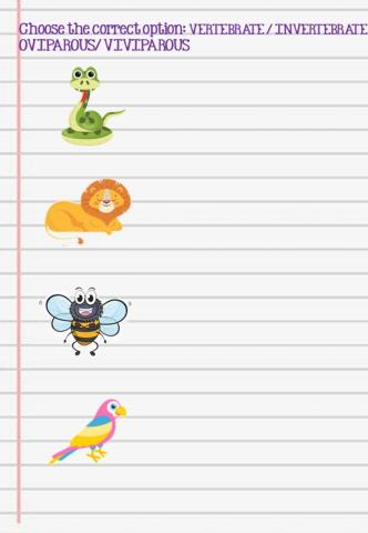 Animals characteristics