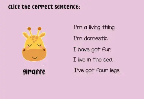 Animals characteristics