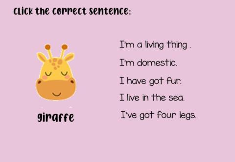 Animals characteristics