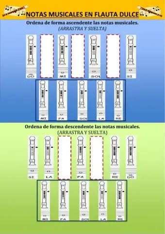 MÚSICA - Notas en flauta dulce y sopa de letras