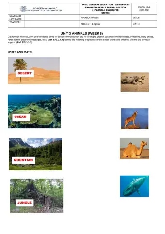 Animal Habitats