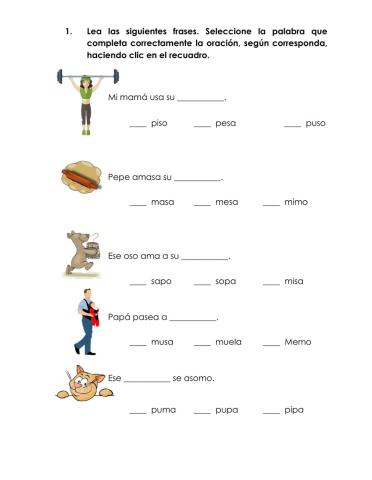 Lectura Vocabulario con M S P