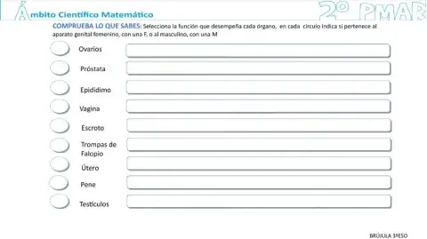 Función órganos aparato  reproductor