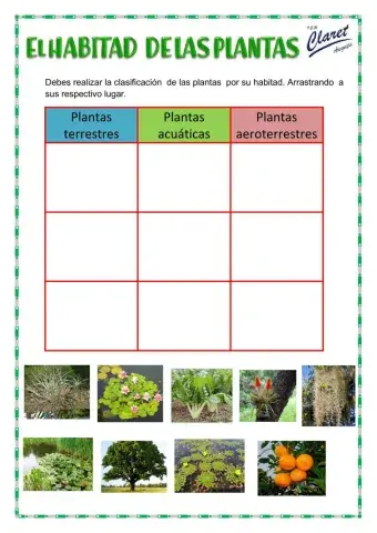 Habitad de las plantas