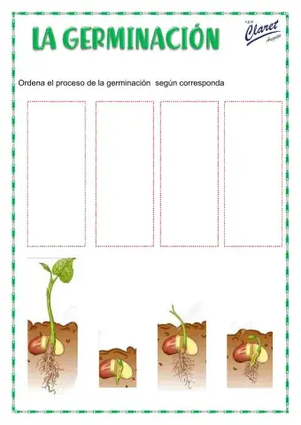 La germinación