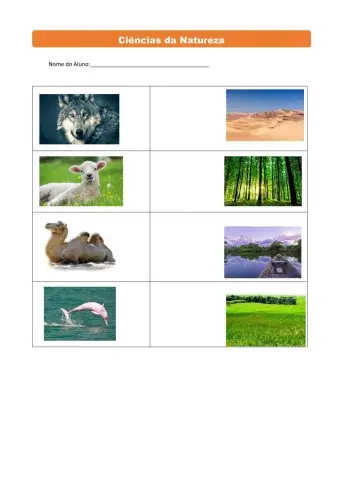 Animais e seus Habitats