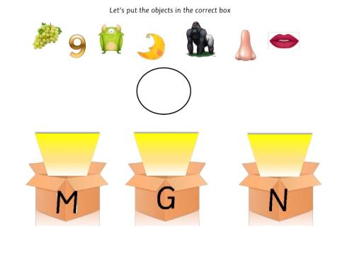 Put the objects in the correct box