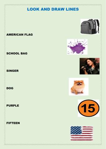 Match the words with the pictures