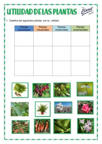 Utilidad de las plantas