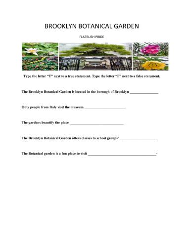 The brooklyn botanical garden