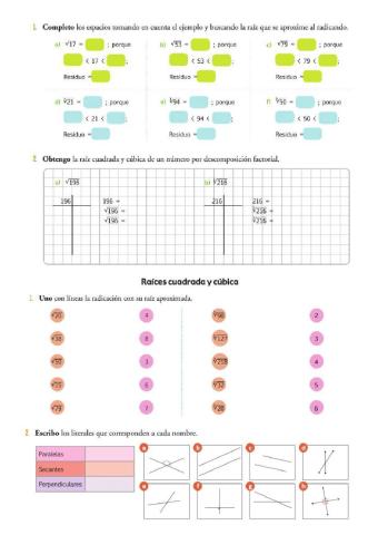 Calculo de raíces y posición de la rectas