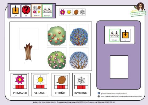 Asamblea: las estaciones del año