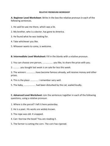Relative Pronouns Practice