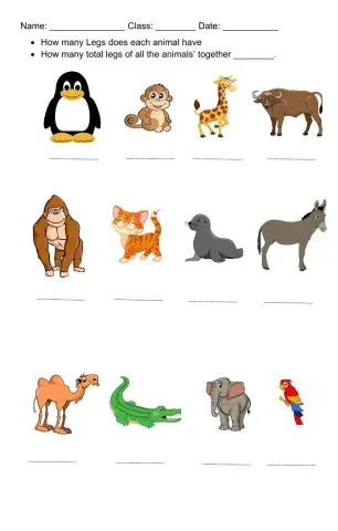 Count the Animal legs