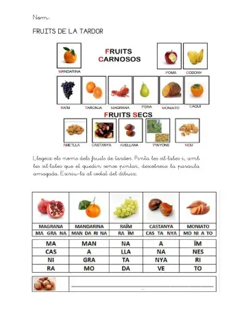 Els fruits de la tardor