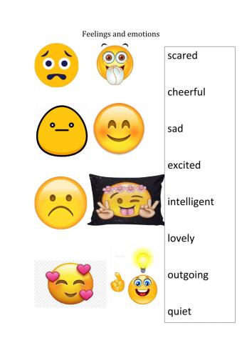 Feelings and emotions