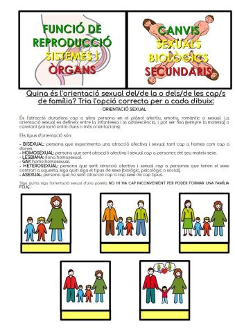 Canvis sexuals secundaris: orientació