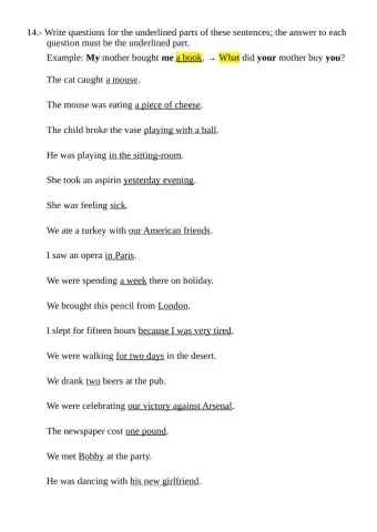 Review work 13 - Asking wh- questions (past simple & continuous)