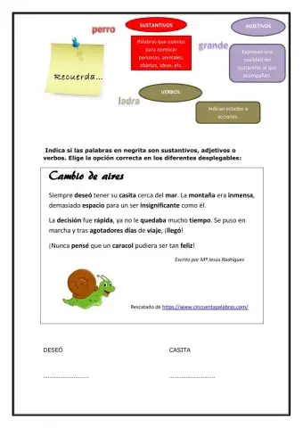 Sustantivos, adjetivos y verbos