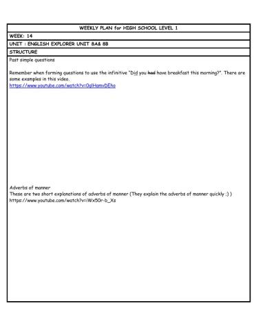 HS L1 WEEKLY PLAN week 14