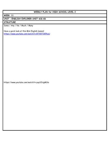 HS L2 WEEKLY PLAN week 11