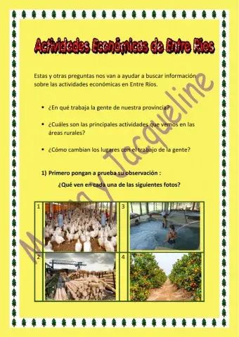 Actividades económicas en Entre Ríos