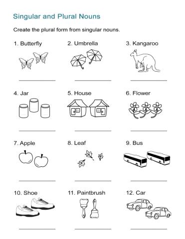 Singular and Plurals