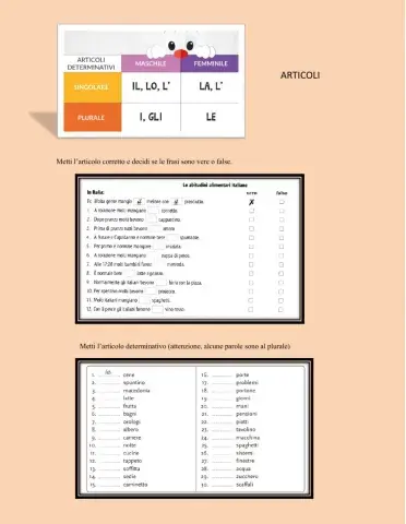 Articoli determinativi