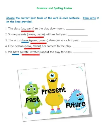 Grammar and Spelling Review Accomodations