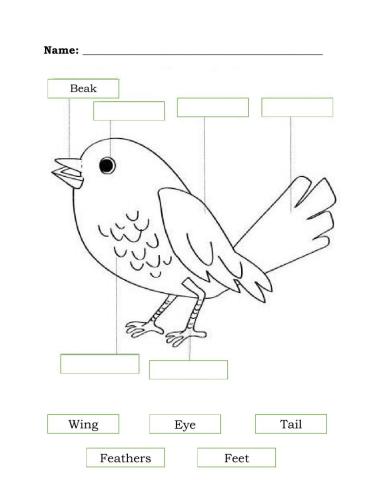 Identify the parts of an animal