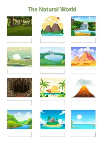 ISE Foundation - The natural World