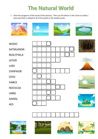 The Natural World - double puzzle