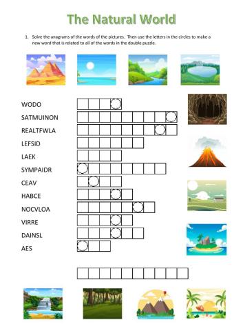 The Natural World - double puzzle