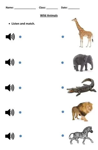 wild animals worksheet